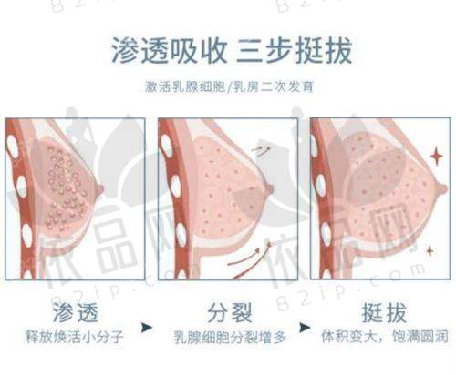 殷初阳隆胸手术价格如何？