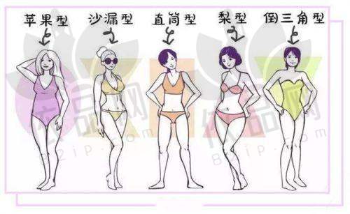 从不同需求看哈尔滨双燕和瑞丽的选择