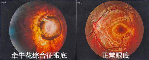三、省钱攻略：普通家庭如何节省一半开支？