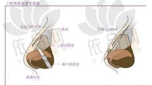 霍旺佳医生预约方式