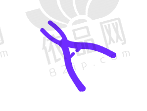 如何在西安弗莱堡口腔医院获得更优惠的种牙价格