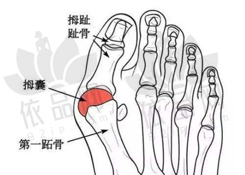 葫芦岛华美医疗美容王希华医生 - 医生特色技术优势