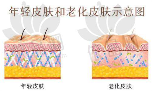 长春朝阳麦西美嘉医疗美容门诊部营业时间