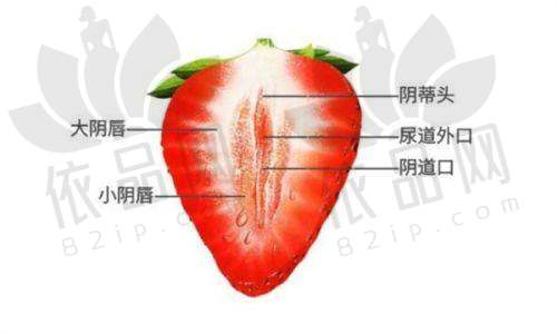 上海私密整形项目及价格参考