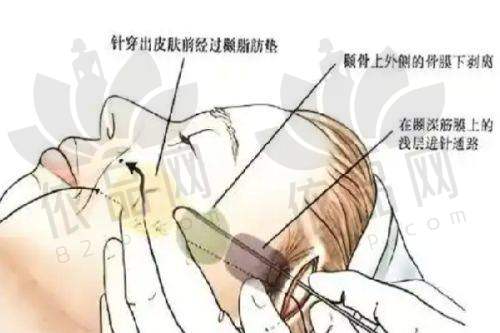 东莞西妃整形医院交通路线