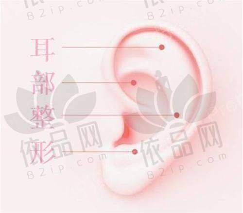赣州韩美整形方贤成医生擅长项目