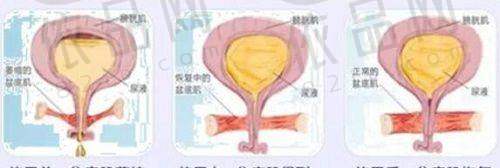 武汉仁爱时光开展的业务范围