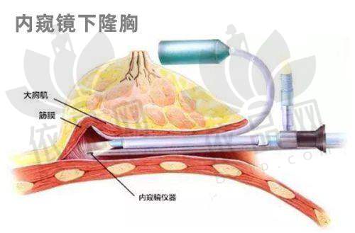 武汉仁爱时光服务体验