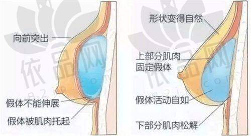 长春绽放江依南医疗美容佟建国医生——医生资质信息