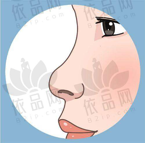 技术设备与方案多样性