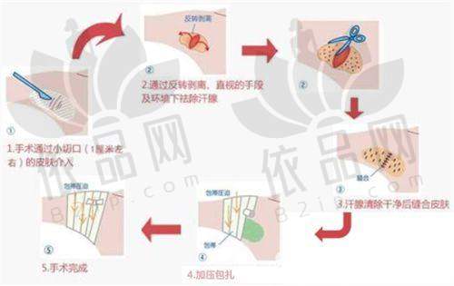 白云医生 - 医生资质信息