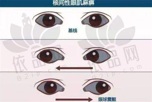 服务亮点凸显正规性