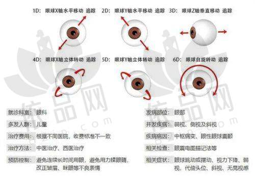 其他优势方面对比：特色服务谁更突出