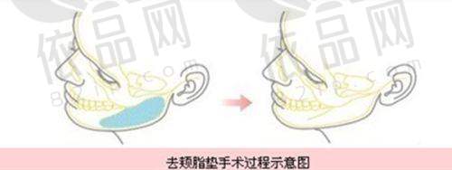 哈尔滨紫熙医疗美容门诊部医生团队