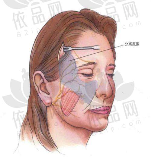 哈尔滨非思医疗美容门诊部预约方式