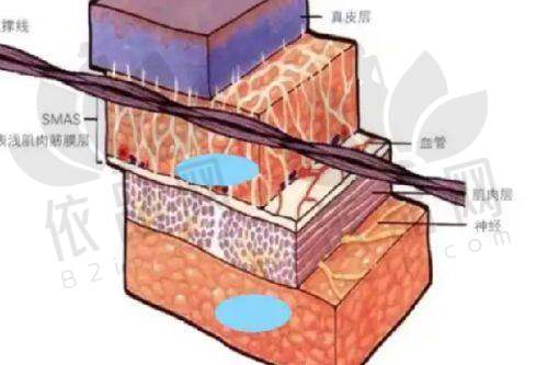 哈尔滨宋明亮医疗美容诊所医院收费价格表