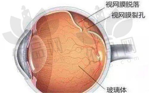 黑龙江云海眼科医院医生团队