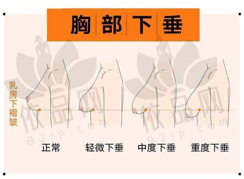 郑方荣医生资质信息