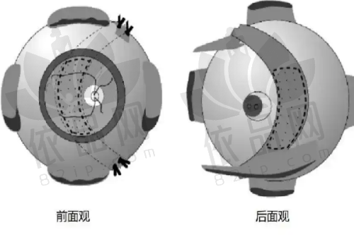 齐齐哈尔尚氏（君悦）整形医生团队