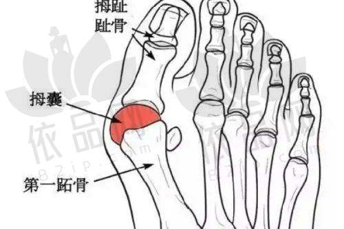 大庆倾颜医疗美容门诊部医生团队