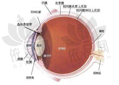 儿童常见眼科疾病及预防