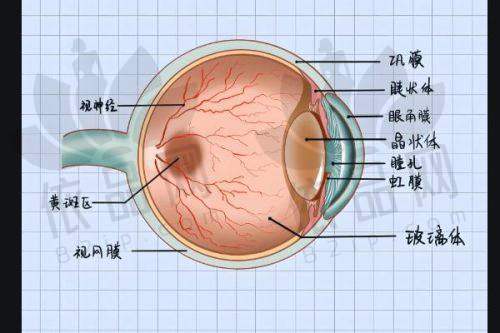 哈尔滨云海眼科医院是几级医院？未定级但正规，高标准专科为全年龄段患者服务