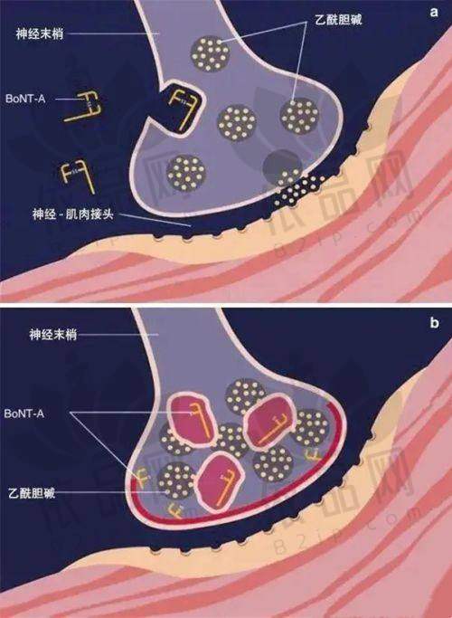 牡丹江君美施医疗美容门诊部营业时间