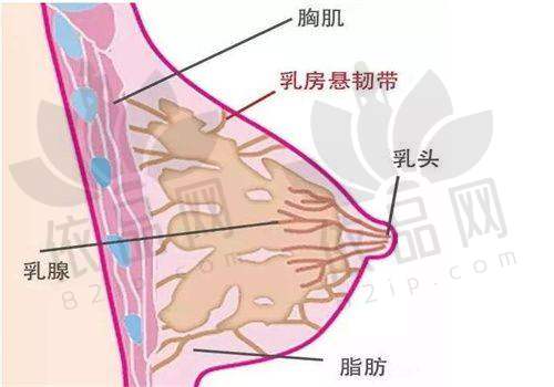 大庆超龙医疗美容周淑艳医生——预约方式