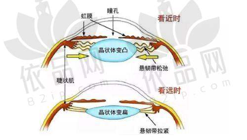 南京家和医院私密科：交通路线