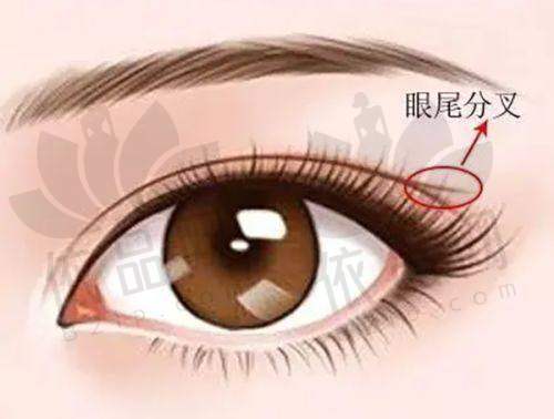 南京秦淮美伊成医疗美容诊所交通路线