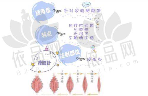 南京金鹰医疗美容门诊部医生团队