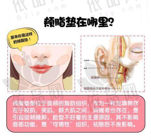 南京伊而菲斯医疗美容门诊部交通路线