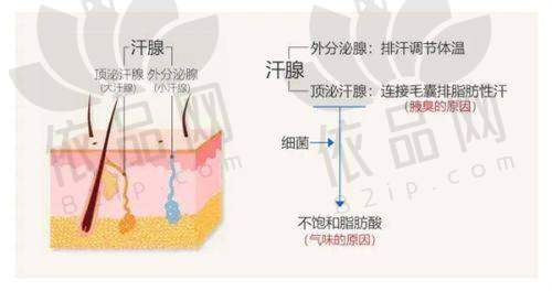 整形风格与个性化方案设计