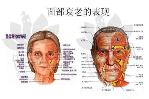 医生资质信息