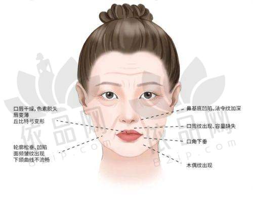 专精的医疗团队保护