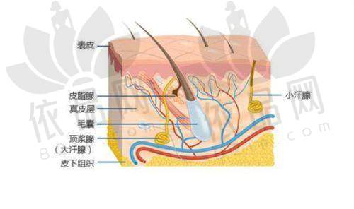 史德明医生的技术优势