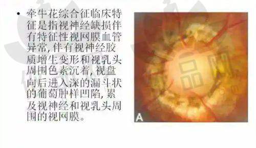 二、价格差异因素