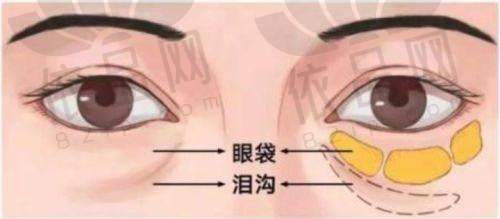 苏州卫康美容医院医生团队专精