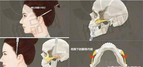 价格与性价比
