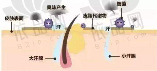 双眼皮修复优势