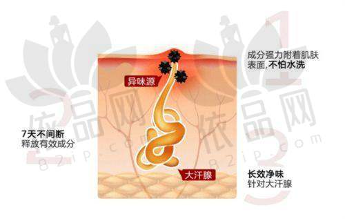 4、出彩仿真极速丰胸究竟是怎么回事？