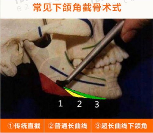 6. 上海联合丽格医疗美容