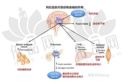 南京医科大学友谊整形外科医院泰州医疗美容门诊部