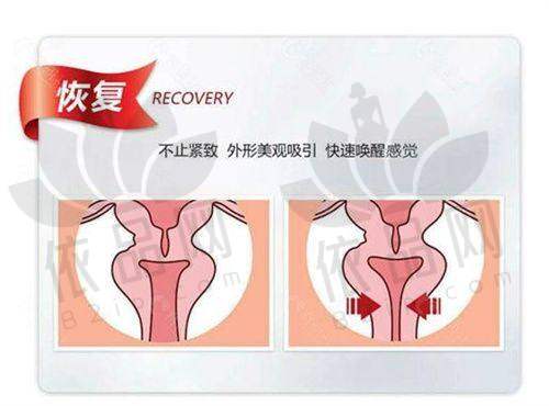 审美与设计能力：个性化定制，协调面部整体