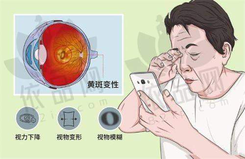 广州眼科医院地址与交通：公交站“眼科医院站”旁