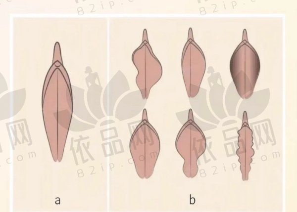 上海私密整形医院前十公布！公立领衔，多家机构各展私密整形实力