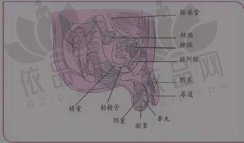 唐冬生 - 口碑评价