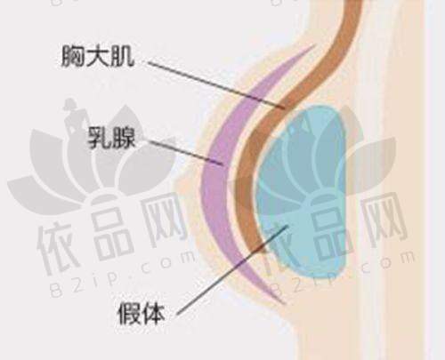 杭州伊甸媛医疗美容诊所：医生团队