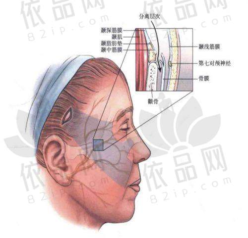 佀同帅：显微修复“技术流”代表