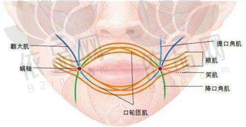 8、成都禾臣瑞亚医疗美容